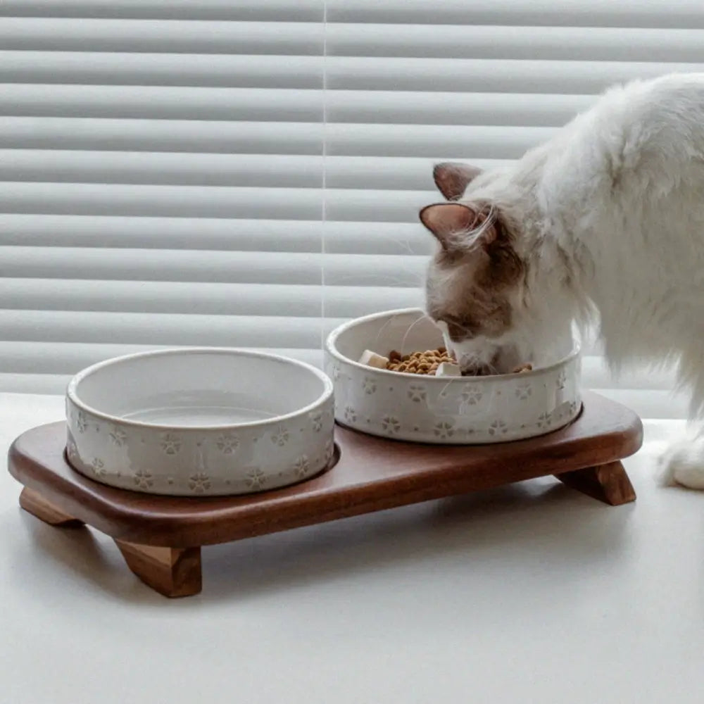 Elevated Ceramic Double Pet Bowl Set with Acacia Wood Stand