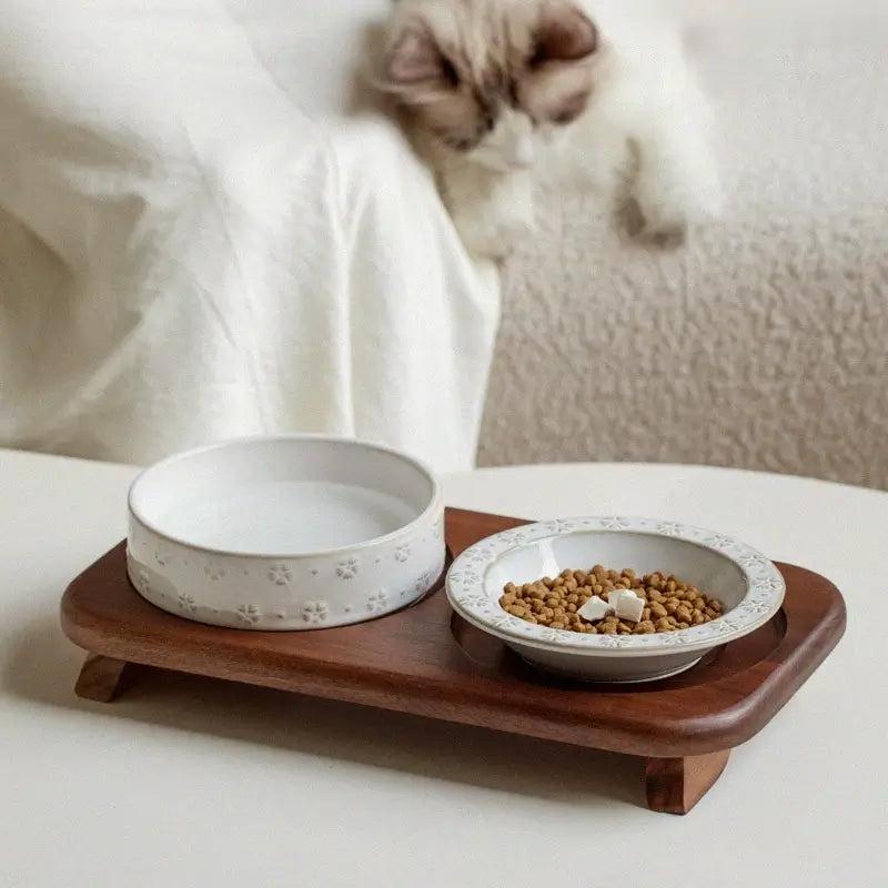 Elevated Ceramic Double Pet Bowl Set with Acacia Wood Stand