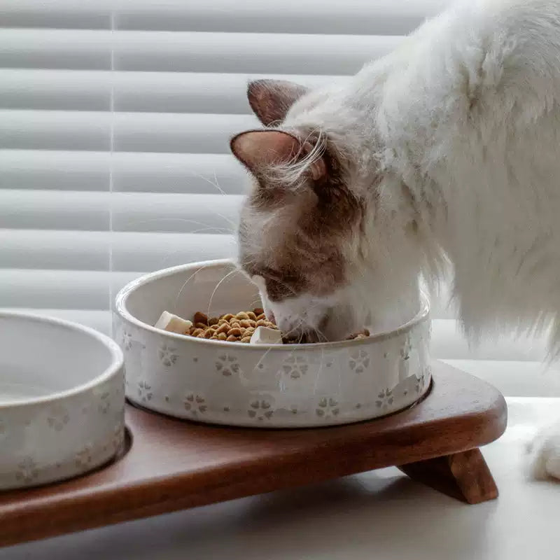 Elevated Ceramic Double Pet Bowl Set with Acacia Wood Stand