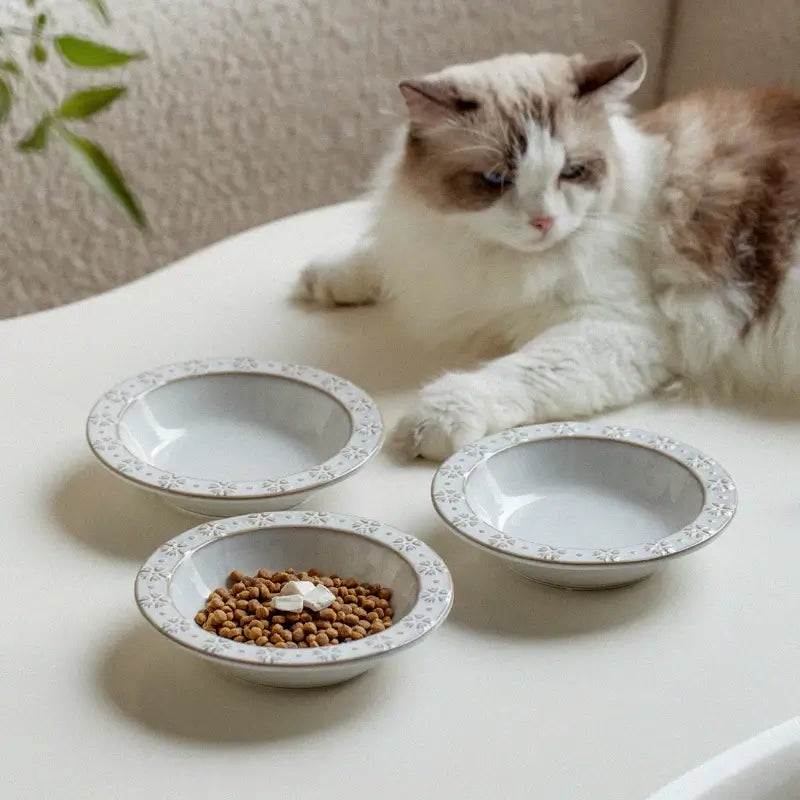 Elevated Ceramic Double Pet Bowl Set with Acacia Wood Stand