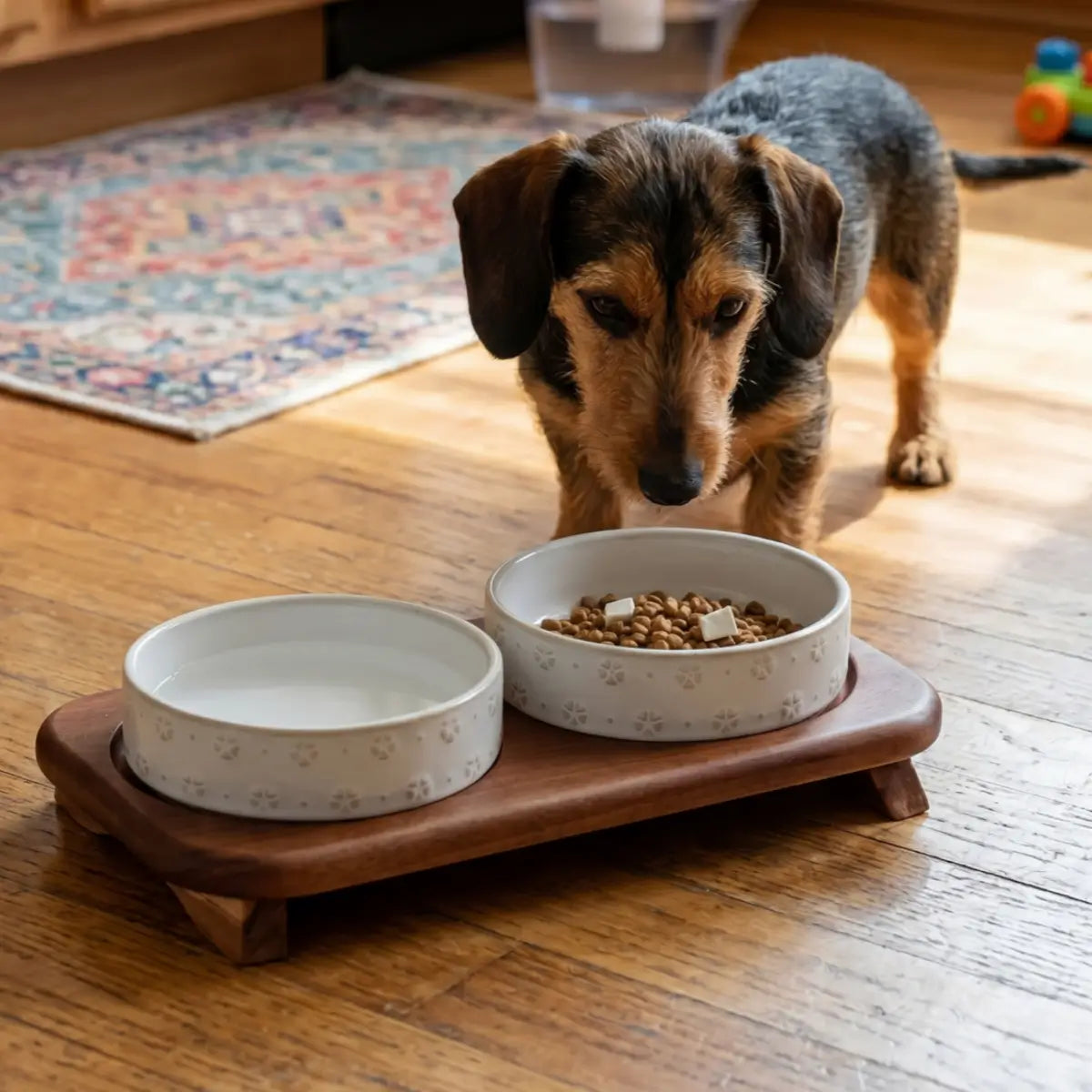 Elevated Ceramic Double Pet Bowl Set with Acacia Wood Stand