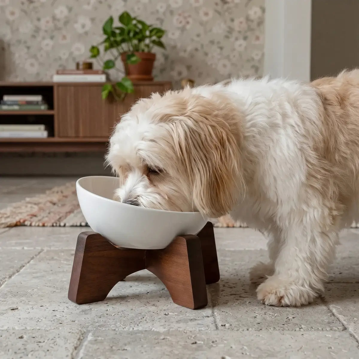 Elevated Ceramic Pet Bowl with Acacia Wood Stand