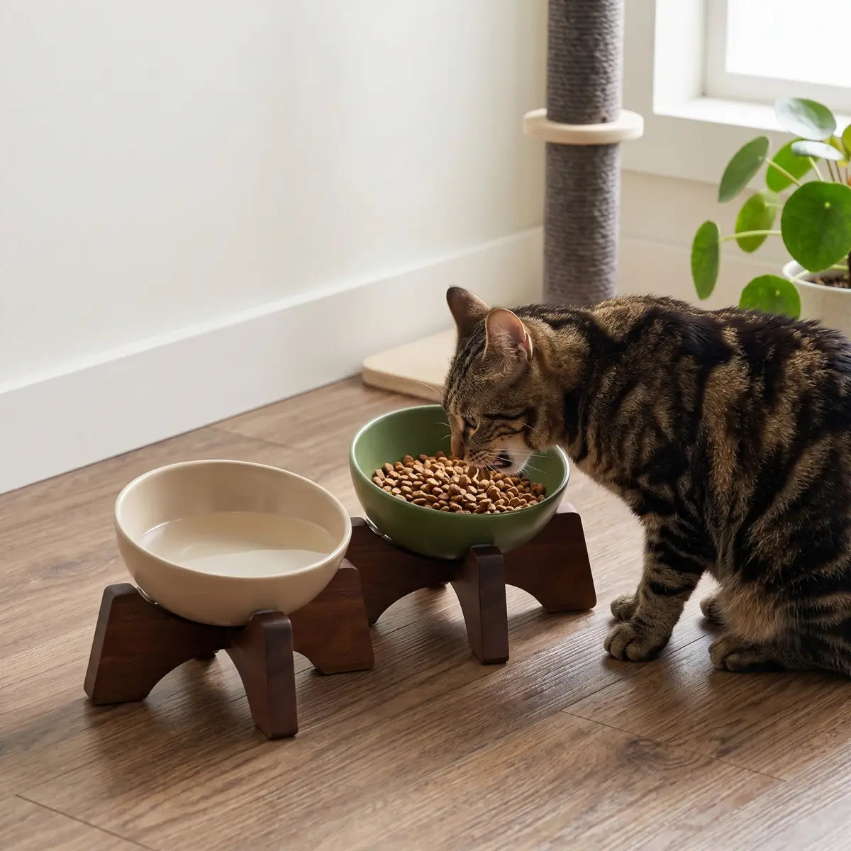 Elevated Ceramic Pet Bowl with Acacia Wood Stand