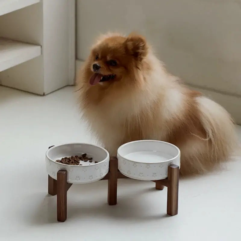 Elevated Ceramic Pet Bowl with Acacia Wood Stand