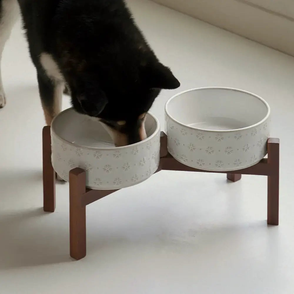 Elevated Ceramic Pet Bowl with Acacia Wood Stand
