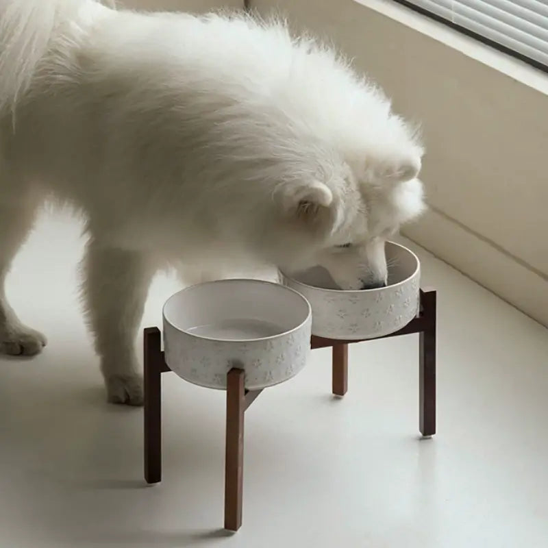 Elevated Ceramic Pet Bowl with Acacia Wood Stand