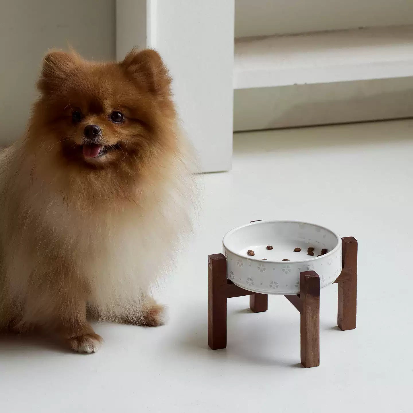 Elevated Ceramic Pet Bowl with Acacia Wood Stand
