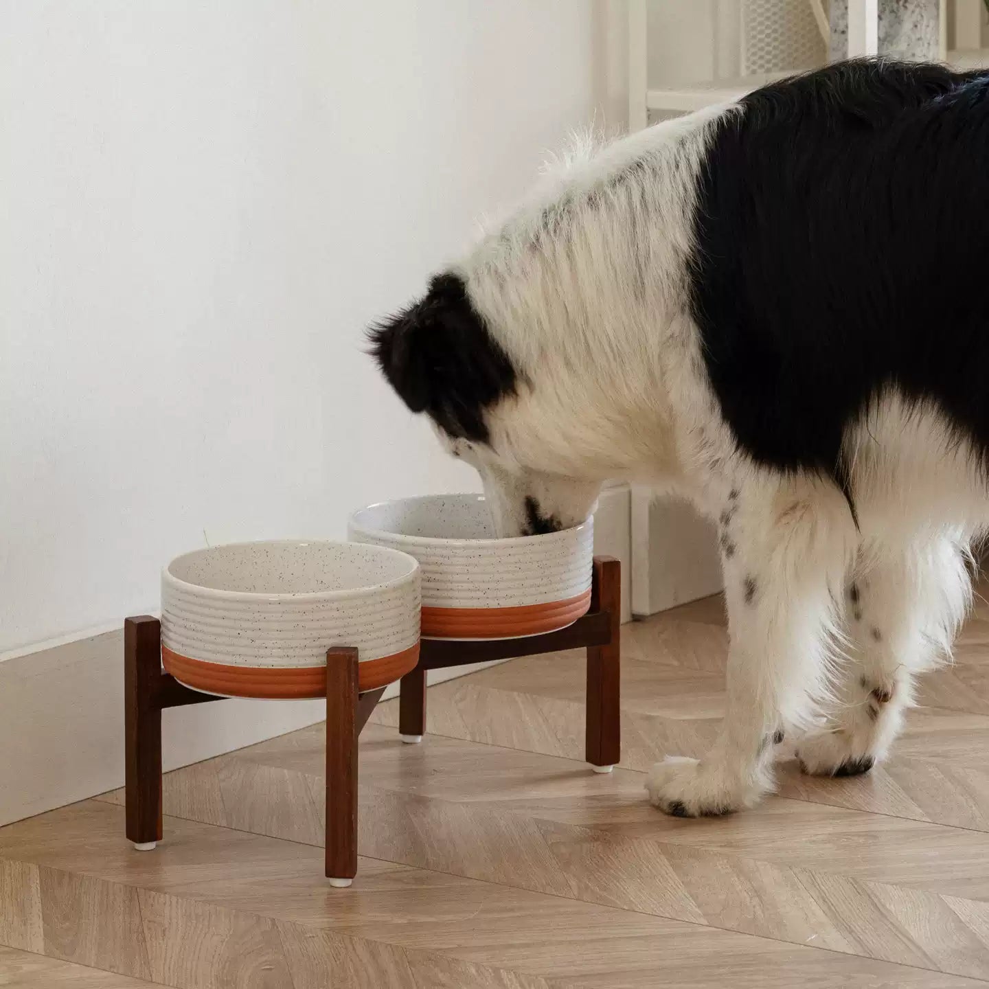 Elevated Ceramic Pet Bowl with Acacia Wood Stand – Single or Double Bowl
