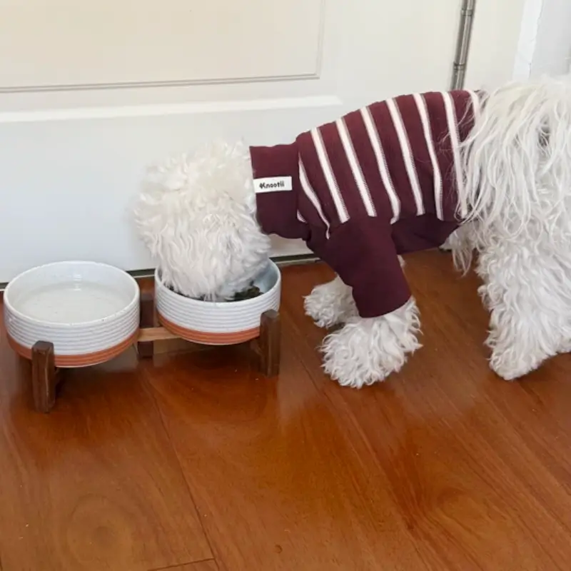 Elevated Ceramic Pet Bowl with Acacia Wood Stand – Single or Double Bowl