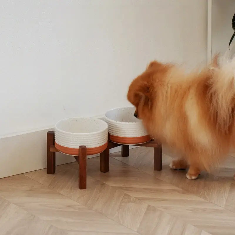 Elevated Ceramic Pet Bowl with Acacia Wood Stand – Single or Double Bowl