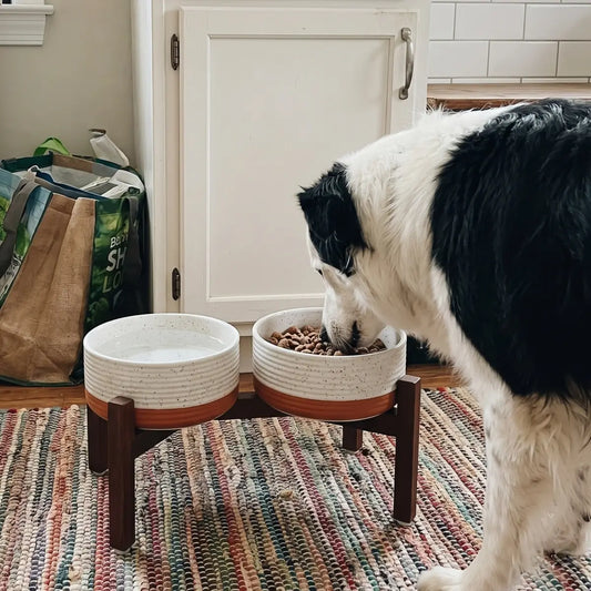 Elevated Ceramic Pet Bowl with Acacia Wood Stand – Single or Double Bowl