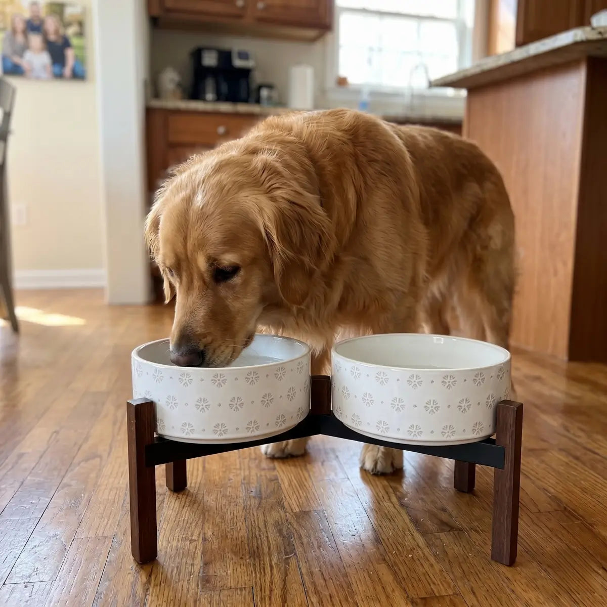 Elevated Ceramic Pet Bowl with Acacia Wood Stand