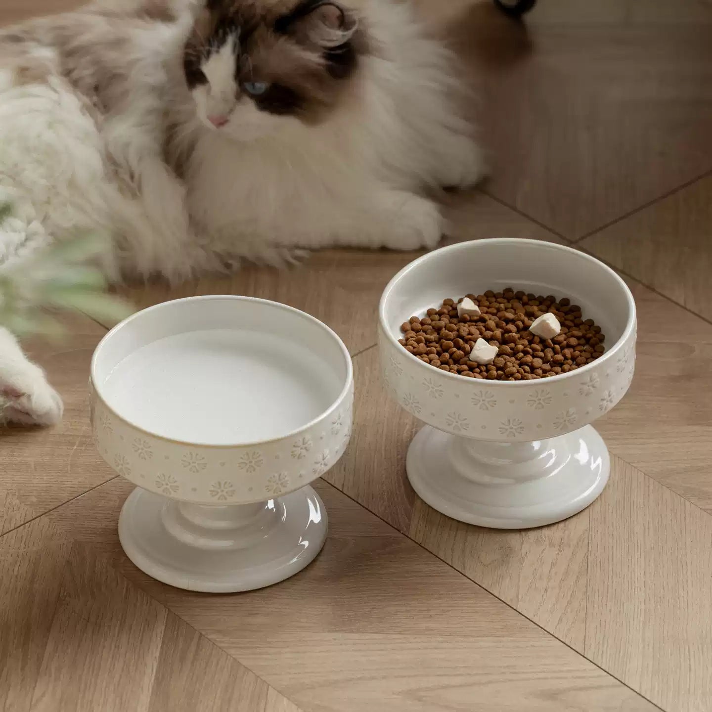 Goblet-Inspired Raised Ceramic Cat Bowl with Floral Pattern