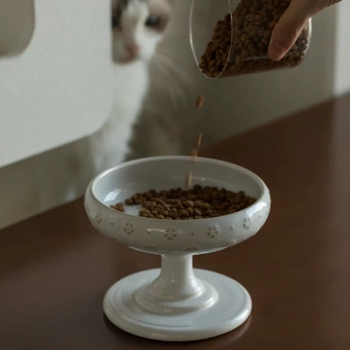 Raised Ceramic Cat Bowl with Floral Pedestal Stand