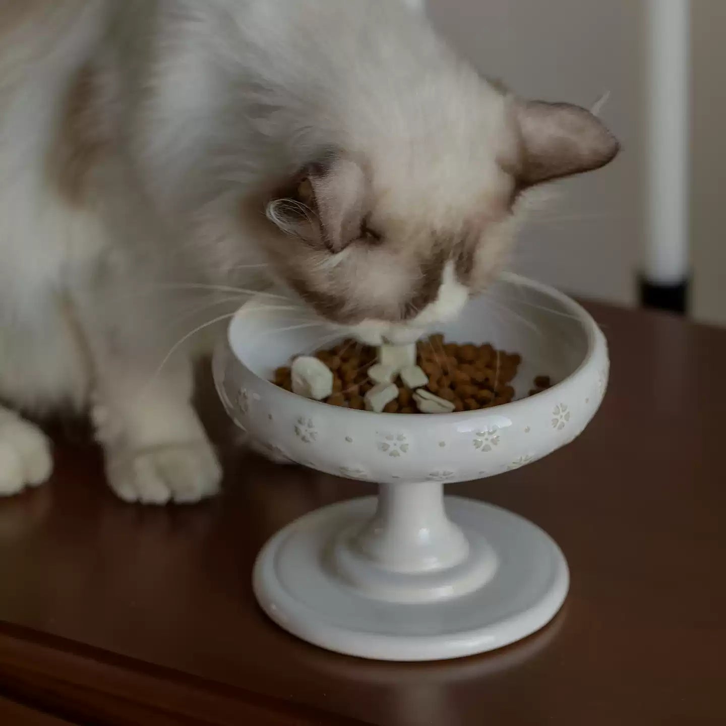 Raised Ceramic Cat Bowl with Floral Pedestal Stand