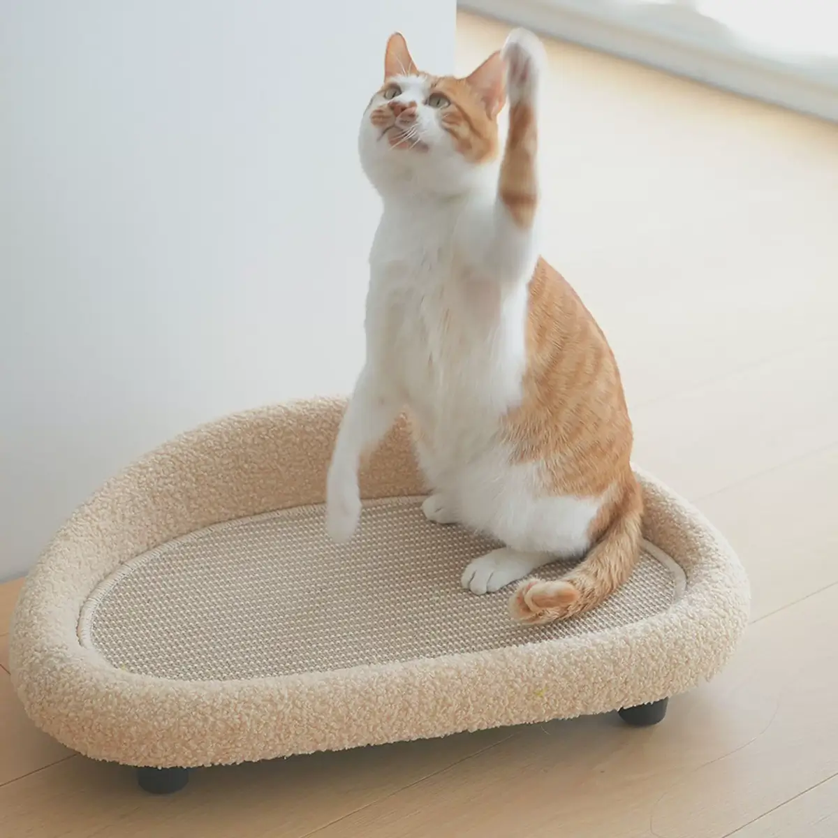 Sisal Cat Scratcher Sofa Bed for Cats & Small Dogs, Oval Pet Lounger with Fleece Trim ，